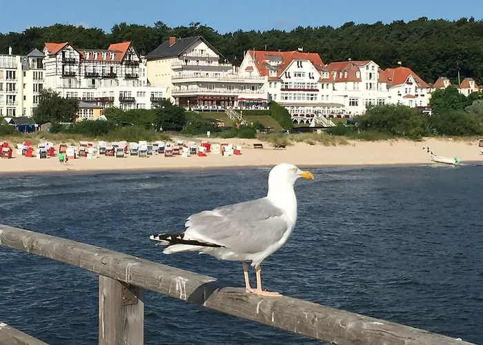 Panorama Bansin